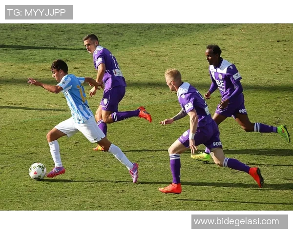 波士顿足球明星的辉煌历程与对城市文化的深远影响 波士顿足球明星的辉煌历程与对城市文化的深远影响