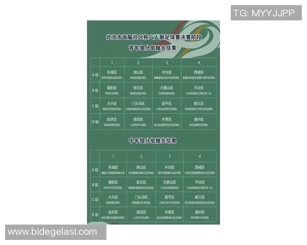 深入分析北京羽毛球队的区域防守战术及其战术优势与应用